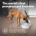 PetSafe® Outlast Pumpless Water Fountain 128 oz - Dishwasher Safe - Water Filter Included image thumbnail 2