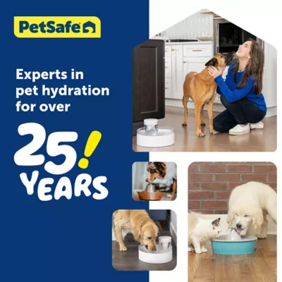 Petsmart dog water fountain best sale