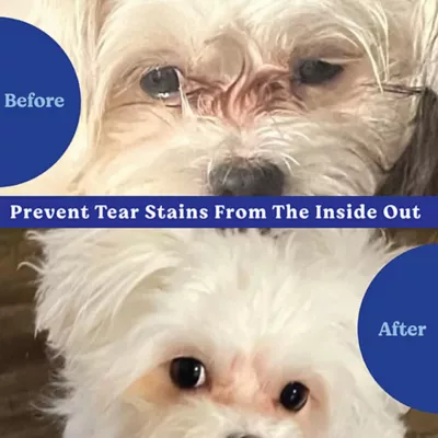 Product Angel Eyes Tear Stain Chew 90 Ct