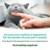TropiClean Fresh Breath Clean Teeth Dental & Oral Gel for Cats image thumbnail 7