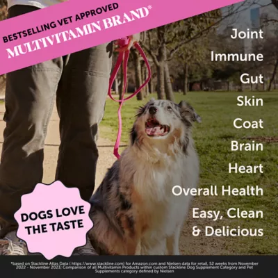 Product Pet Honesty's Multivitamin Bone Broth + Salmon Oil for Dog 12 Oz