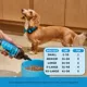 Product Pet Honesty's Skin + Coat Health + Salmon Oil for Dog 12 Oz