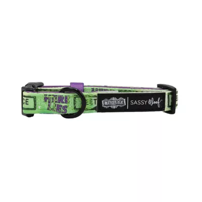 Product Sassy Woof Beetlejuice Adjustable Dog Collar