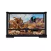 Thrive 10 Gallon Open Glass Terrarium image thumbnail 1