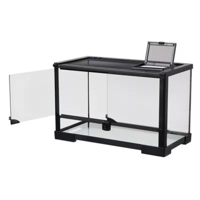 Product Thrive 10 Gallon Open Glass Terrarium