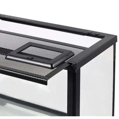 Product Thrive 10 Gallon Open Glass Terrarium