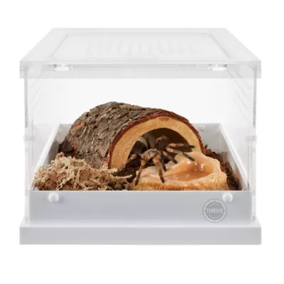 Product Thrive Acrylic Terrarium