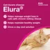 Elura Capromorelin Oral Solution for Cats | 20 mg/ml, 15 ml image thumbnail 3