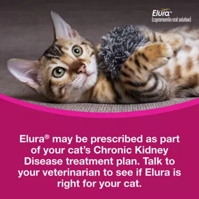 Elura Capromorelin Oral Solution for Cats | 20 mg/ml, 15 ml - Image 5