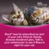 Elura Capromorelin Oral Solution for Cats | 20 mg/ml, 15 ml image thumbnail 5