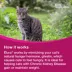 Elura Capromorelin Oral Solution for Cats | 20 mg/ml, 15 ml image thumbnail 9