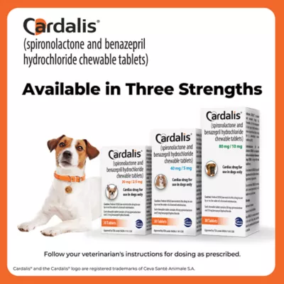 Cardalis Chewable Tablets for Dogs - 80mg/10mg, 30 Tablets - Image 2