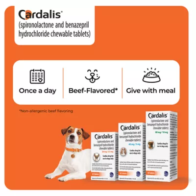 Cardalis Chewable Tablets for Dogs - 80mg/10mg, 30 Tablets - Image 5
