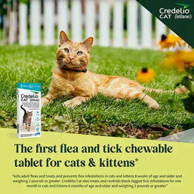 Product Credelio Chewable Tablets for Cats - 4.1-17 lbs, Teal Box