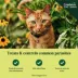 Credelio Chewable Tablets for Cats - 4.1-17 lbs, Teal Box image thumbnail 4