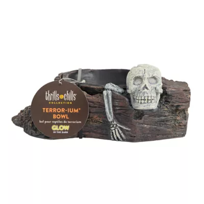 Product Thrills & Chills Skull Bowl