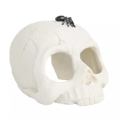 Product Thrills & Chills Skull Hide Ornament