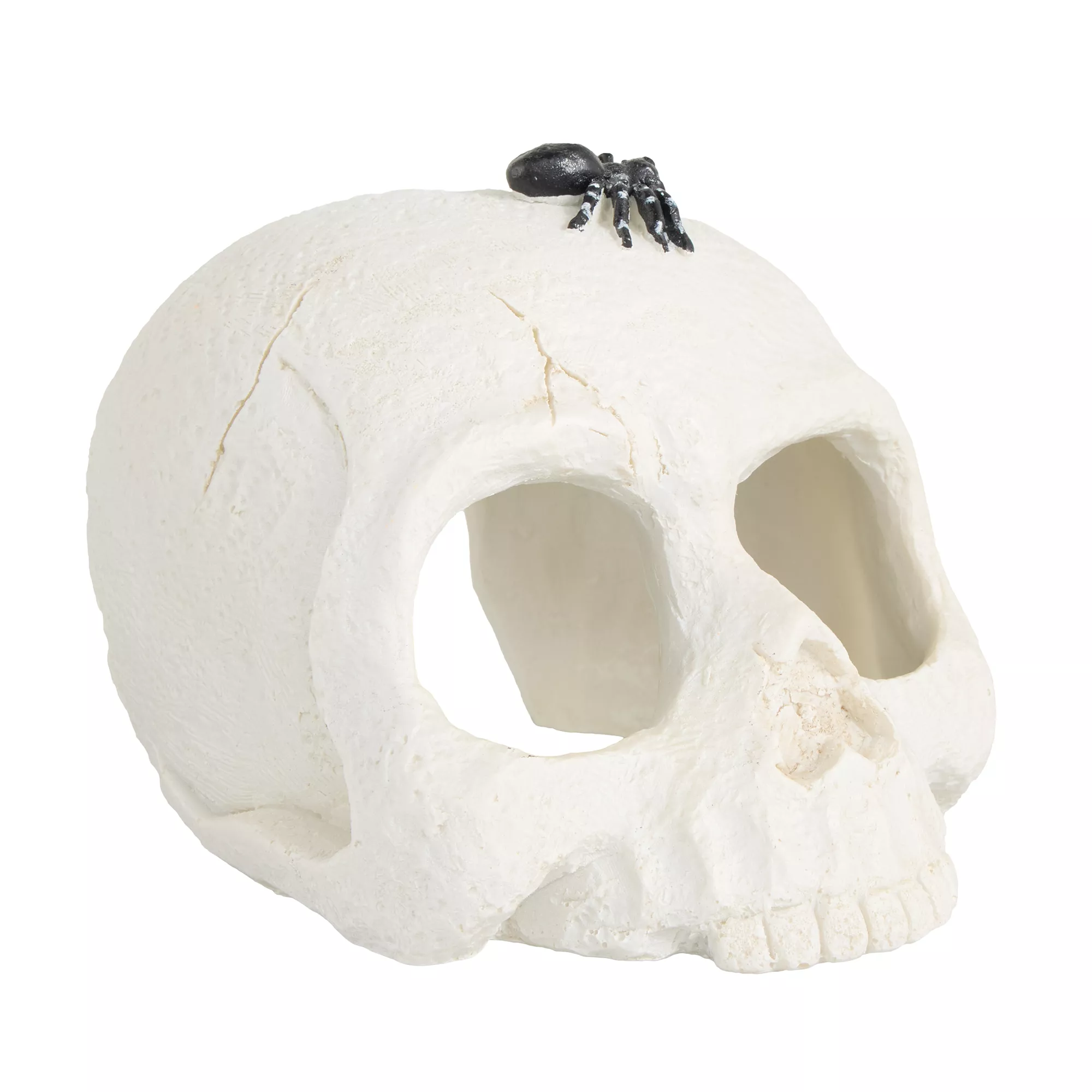 Thrills & Chills Skull Hide Ornament