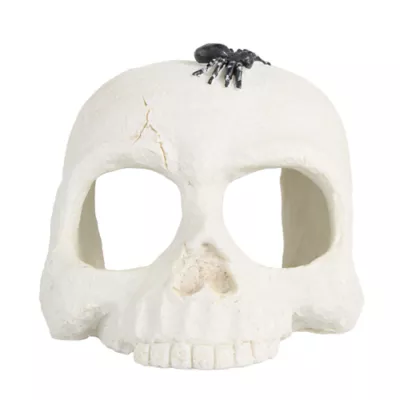 Product Thrills & Chills Skull Hide Ornament