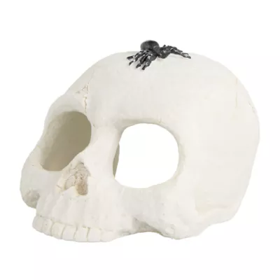 Product Thrills & Chills Skull Hide Ornament