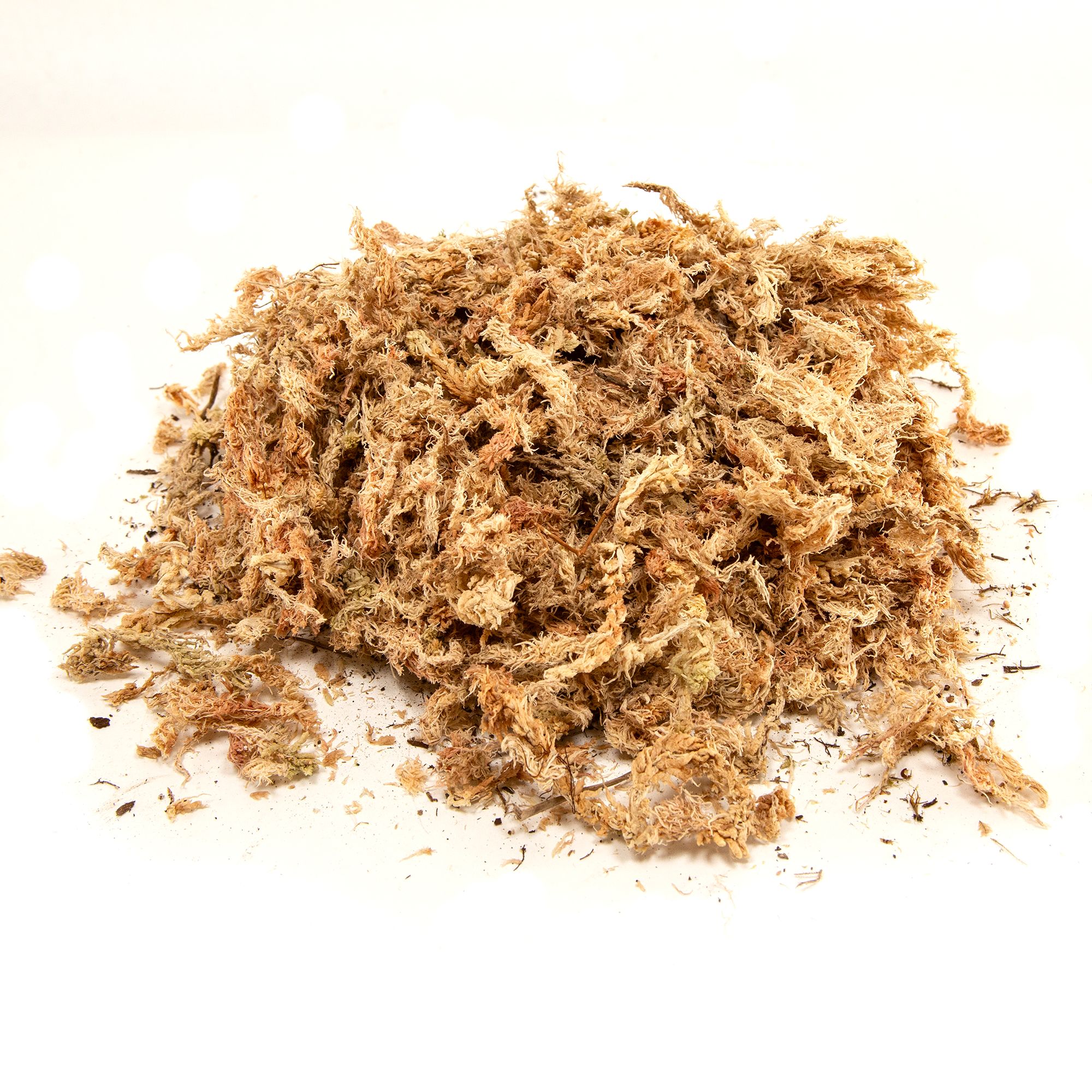 Zoo Med Sphagnum Moss - Humidity Terrarium Moss - Medium - thumbnail 6