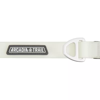 Arcadia Trail ™ Glow-in-the-Dark Active Comfort Dog Leash