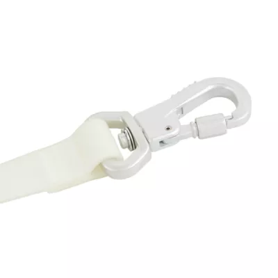 Product Arcadia Trail ™ Glow-in-the-Dark Active Comfort Dog Leash