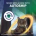 NexGard COMBO Topical Solution for Cats 5.6-16.5 lbs (Yellow Box) - 1,3, or 6 Doses image thumbnail 8