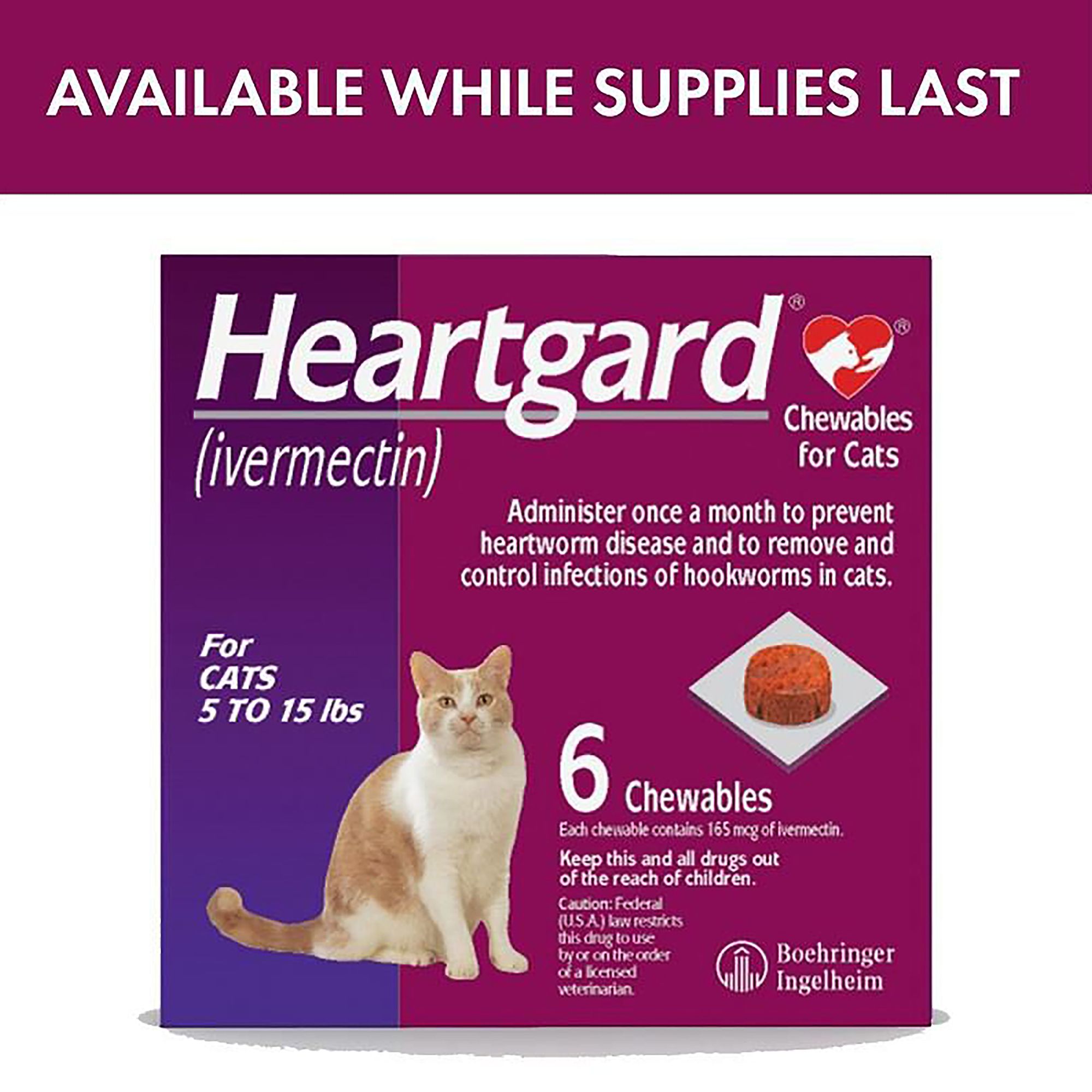 Heartworm medication for cats sale