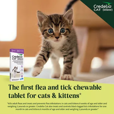 Product Credelio Chewable Tablets for Cats - 2-4 lbs, Purple Box