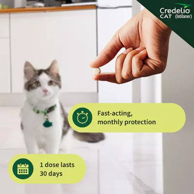 Product Credelio Chewable Tablets for Cats - 2-4 lbs, Purple Box