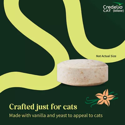 Product Credelio Chewable Tablets for Cats - 2-4 lbs, Purple Box