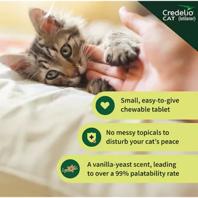 Product Credelio Chewable Tablets for Cats - 2-4 lbs, Purple Box
