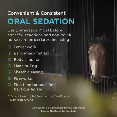 Dormosedan Gel (detomidine hydrochloride) for Horses - 3.0 mL Oral Syringe - Image 4