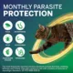 Product NexGard COMBO Topical Solution for Cats - 5.6-16.5 lbs, Yellow Box