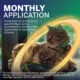 Product NexGard COMBO Topical Solution for Cats - 5.6-16.5 lbs, Yellow Box