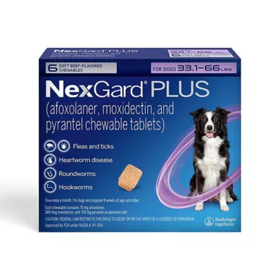 NexGard Plus Chewables for Dogs 33.1 66 lbs Purple 1 Month Supply