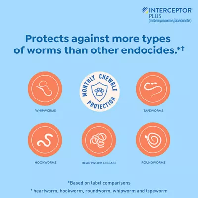 Product Interceptor Plus Chewable Tablets for Dogs - 2-8 lbs, Orange Box