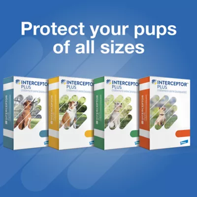 Product Interceptor Plus Chewable Tablets for Dogs - 50.1 - 100 lbs, Blue Box