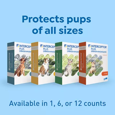 Product Interceptor Plus Chewable Tablets for Dogs - 50.1 - 100 lbs, Blue Box