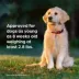 Simparica Trio Chewable Tablets for Dogs, 88.1-132 lbs (Brown), 1 or 6 Month Supply image thumbnail 6