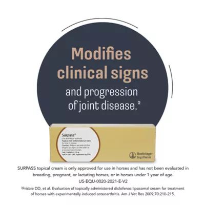 Surpass (1% Diclofenac Sodium) Topical Anti-Inflammatory Cream for Horses - 124g - 1 Tube - Image 6