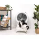 Product Ramp for Litter-Robot® 4 by Whisker