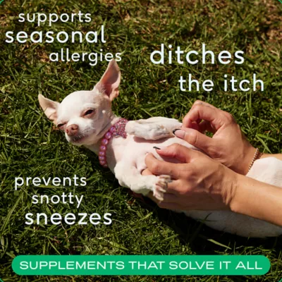 Product Native Pet Allergy & Immune Chews Allergy & Itch Relief Supplement for Dogs