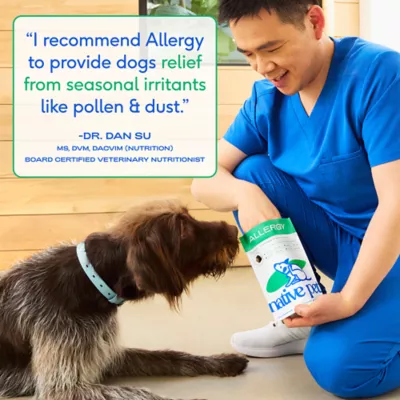 Product Native Pet Allergy & Immune Chews Allergy & Itch Relief Supplement for Dogs