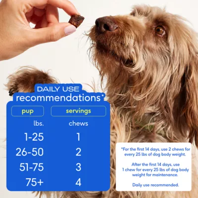 Product Native Pet Hip & Joint Supplement Chews for Dogs