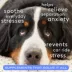 Native Pet Calm Chews for Dogs - Anxiety & Calming Supplement image thumbnail 3