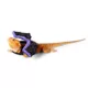 Product Thrills & Chills Bat Wings Reptile Costume