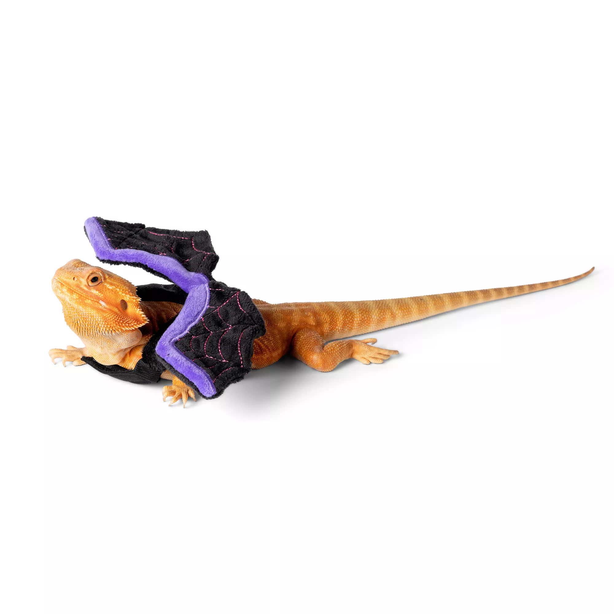 Thrills & Chills Bat Wings Reptile Costume