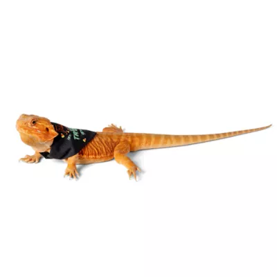 Product Thrills & Chills Spooky 2-Pack Reptile Bandanas